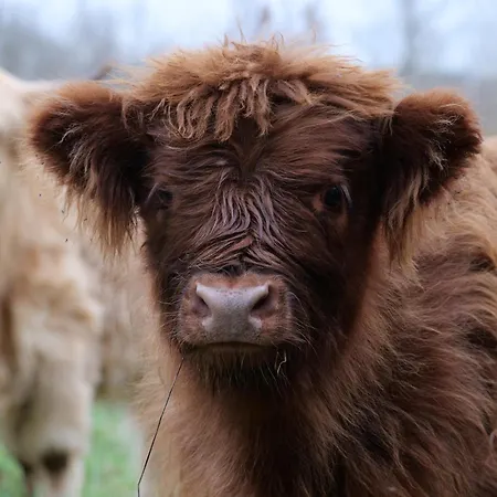 Nocleg ze śniadaniem Le Clos De 3*