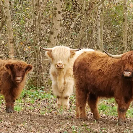 Le Clos De Nocleg ze śniadaniem 3*