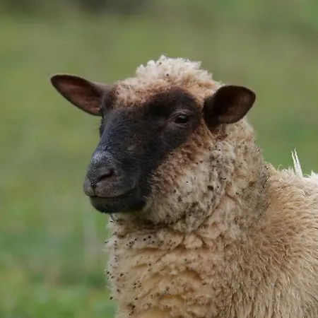 Le Clos De 3* Lusignan-Petit