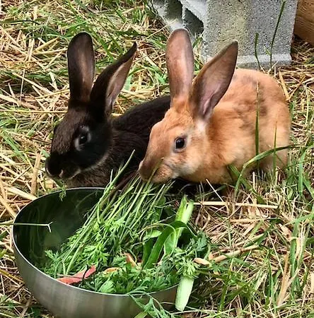 Le Clos De Bed & Breakfast