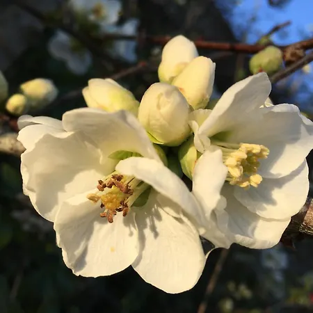 Le Clos De Nocleg ze śniadaniem 3*