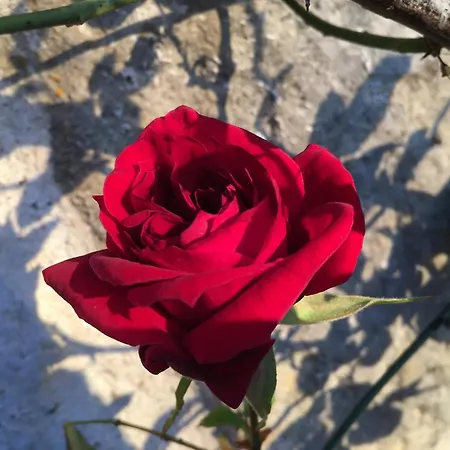 Nocleg ze śniadaniem Le Clos De 3*