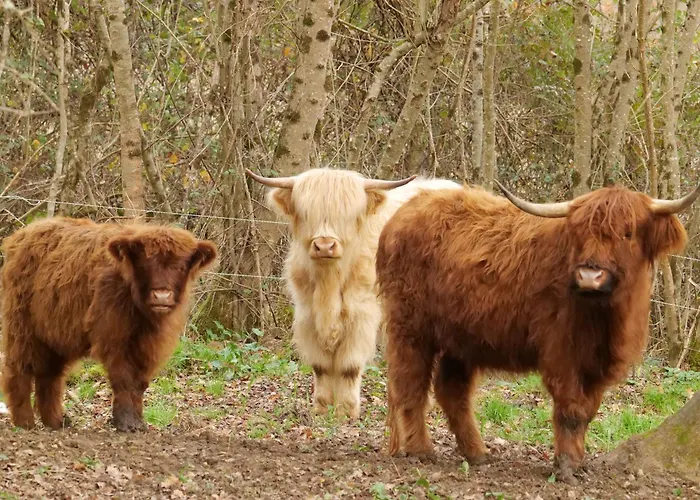 Le Clos De 住宿加早餐酒店 3*