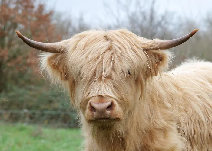 Le Clos De 住宿加早餐酒店