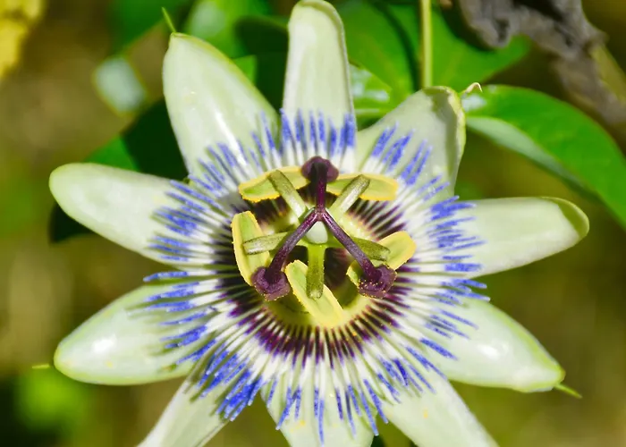 Le Clos De 3* Lusignan-Petit