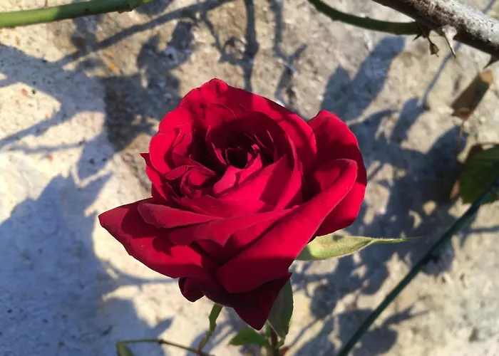 住宿加早餐酒店 Le Clos De 3*